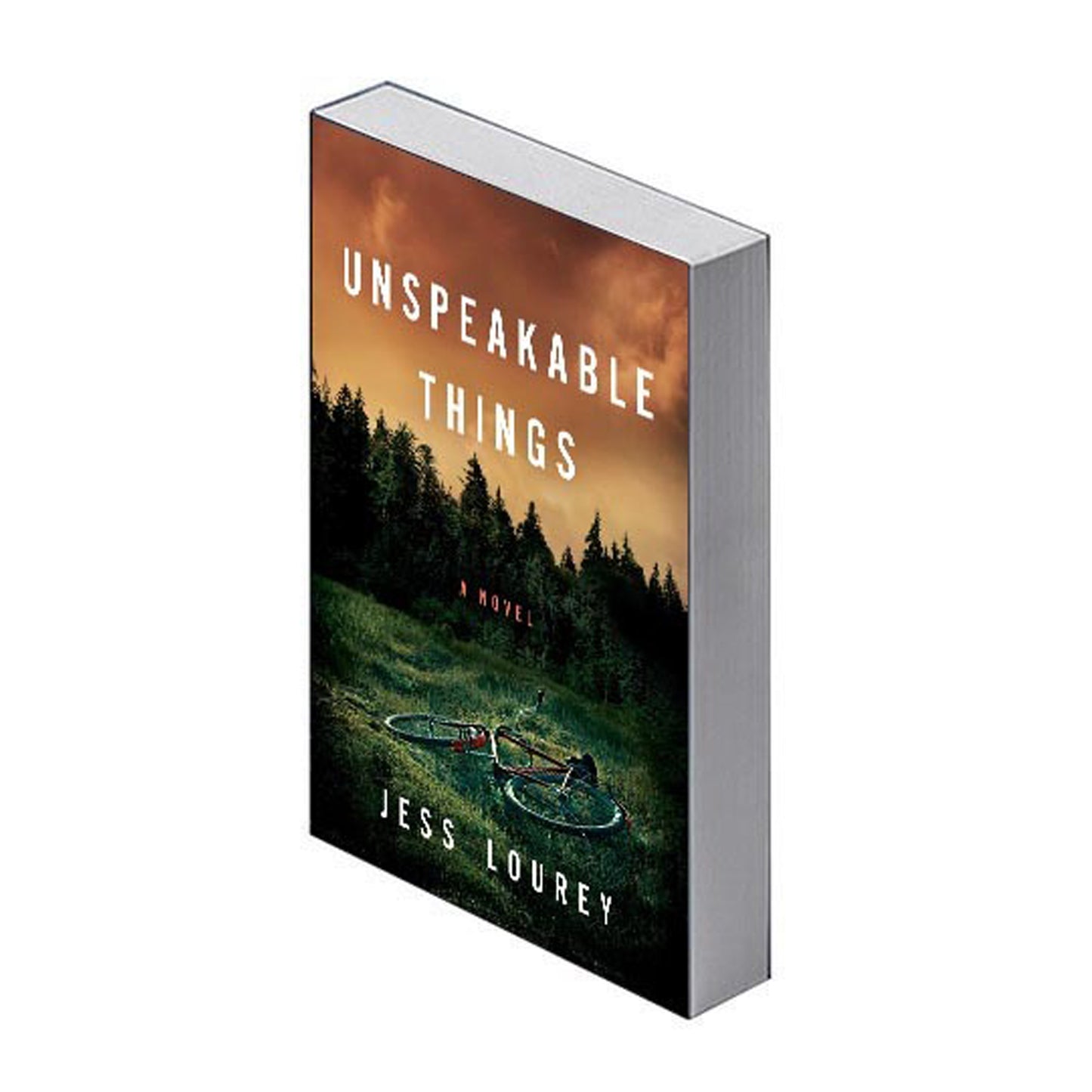 Unspeakable Things: A Novel