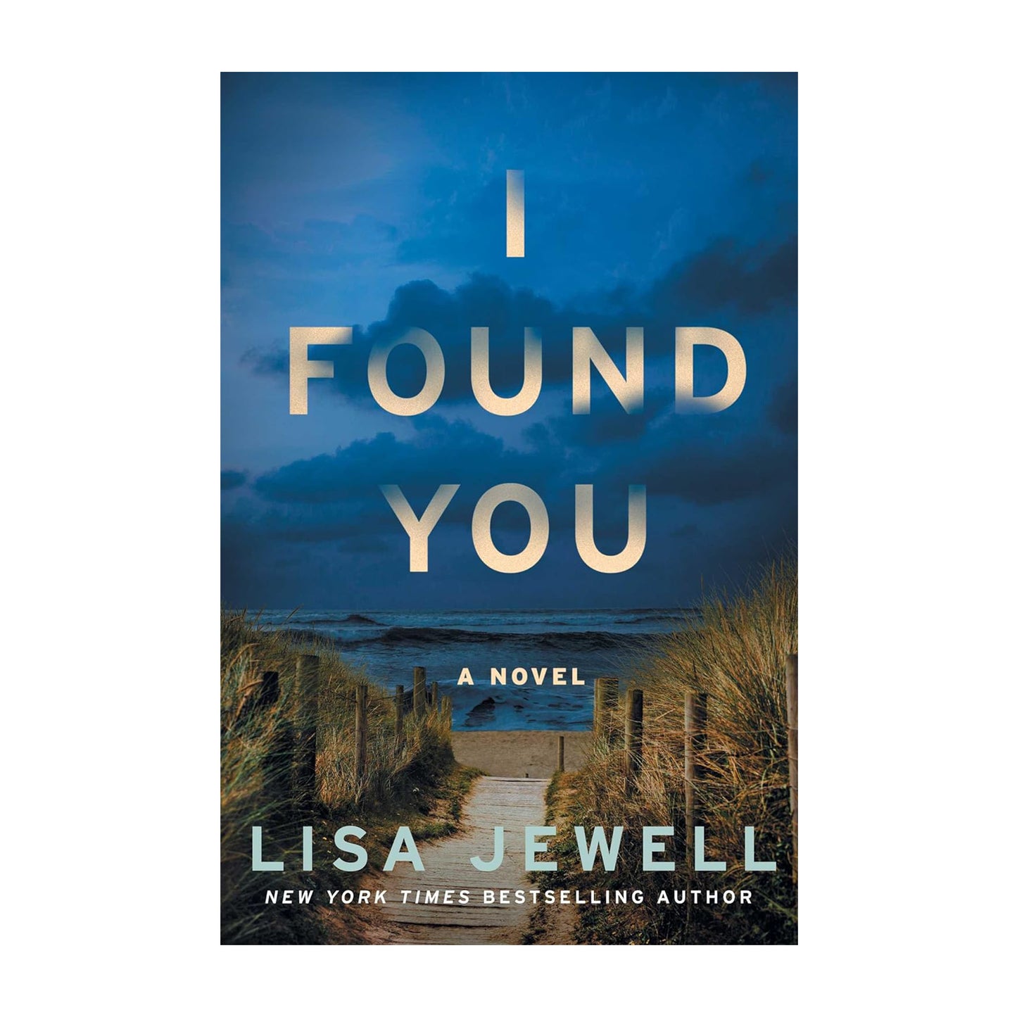 I Found You: A Novel